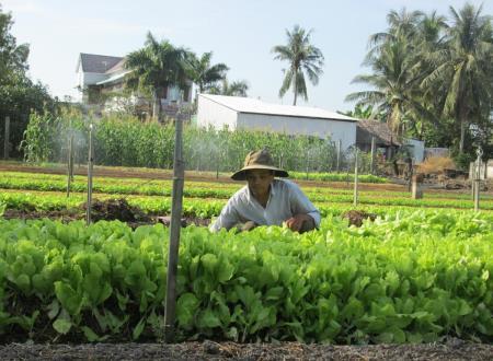 Cà Mau triển khai đồng bộ Chương trình mục tiêu quốc gia