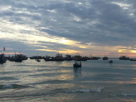 Thúc đẩy thực hiện đồng quản lý theo Luật Thủy sản 2017 tại Việt Nam