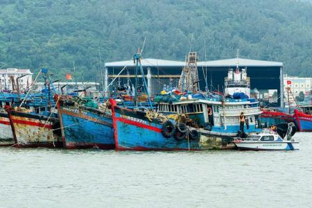 100% tàu cá của Đà Nẵng đã vào nơi tránh trú