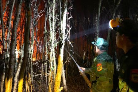 Cán bộ, chiến sĩ BĐBP Cà Mau tham gia chữa cháy rừng