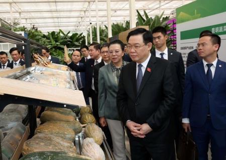 Chủ tịch Quốc hội Vương Đình Huệ thăm một số mô hình kinh tế tiêu biểu của tỉnh Vân Nam, Trung Quốc