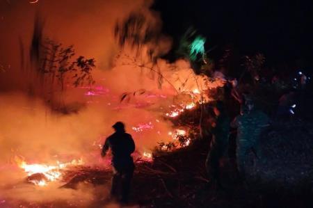 Thừa Thiên Huế: Huy động lực lượng chữa cháy rừng trong đêm