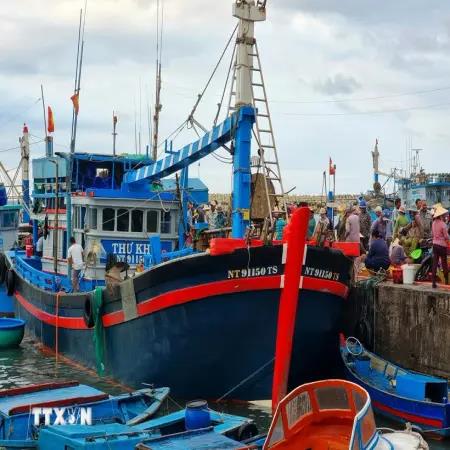 Ninh Thuận tận dụng thế mạnh thúc đẩy phát triển kinh tế biển