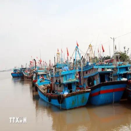 Tỉnh Nam Định, Thái Bình cấm biển để ứng phó với cơn bão số 2