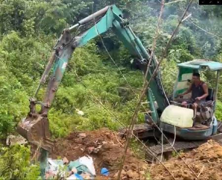 Tiêu hủy gần 800kg chân gà đông lạnh không rõ nguồn gốc