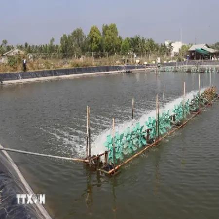 Tỉnh Tiền Giang tập trung phát triển tiềm năng nuôi thủy sản