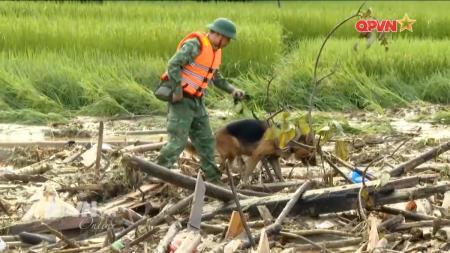 Bộ đội Biên phòng tham gia khắc phục hậu quả bão lũ