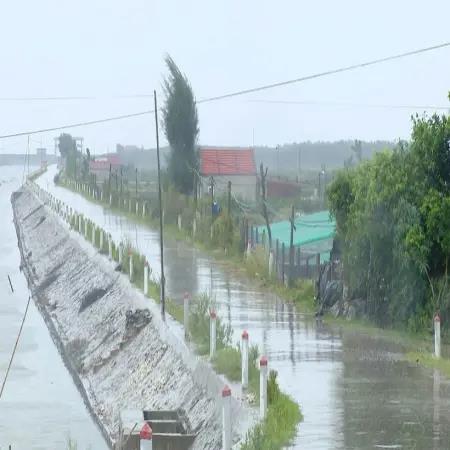 Bão số 3: Vùng ven biển Ninh Bình gió giật mạnh, sóng biển cao 2-3m