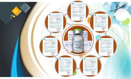 Một triệu liều vaccine Hayat-Vax sản xuất tại UAE chính thức được cấp Giấy chứng nhận xuất xưởng