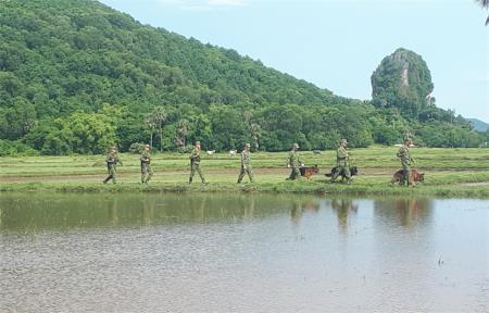 Vững vàng đi về phương Nam chống dịch