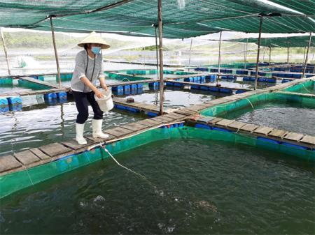 Nữ kỹ sư tiếp sức nghề nuôi biển theo hướng hiện đại