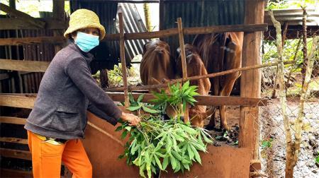 Linh hoạt thực hiện chính sách ở địa bàn vừa thoát nghèo (bài 3)