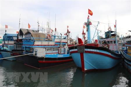 Bão số 9 cách đảo Song Tử Tây 250km, Hà Nội có mưa nhỏ vài nơi