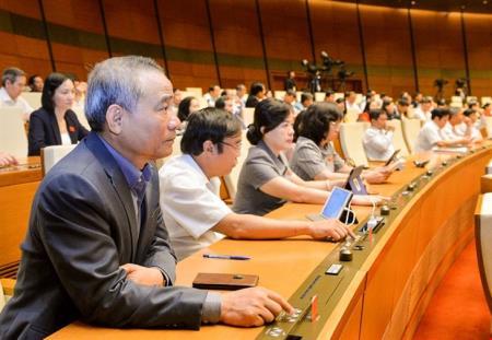 Quốc hội biểu quyết bầu đồng chí Võ Thị Ánh Xuân giữ chức vụ Phó Chủ tịch nước