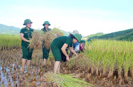 Vững vàng trên chặng đường mới