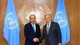 Việt Nam - Đối tác mạnh mẽ của Liên hợp quốc vì hòa bình và phát triển bền vững