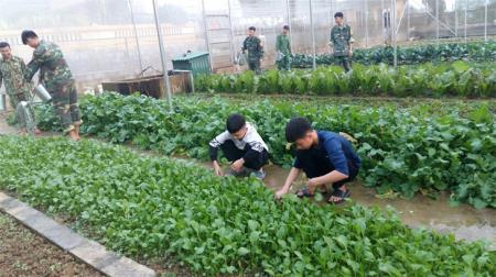 Những mùa Xuân hạnh phúc