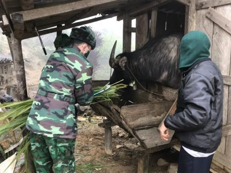Khắc phục giá rét thực hiện nhiệm vụ trên đường biên Tổ quốc