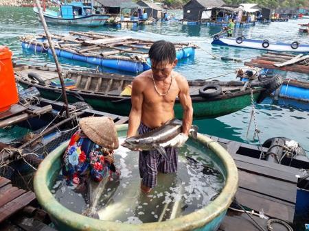 Khai thác mỏ thủy sản trên vùng biển Tây Nam