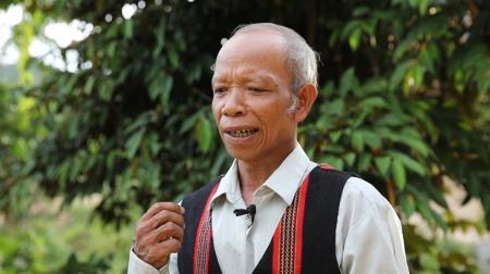 Cây đại thụ trên  dãy Trường Sơn