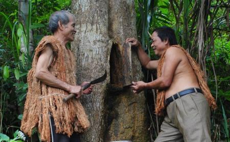 Độc đáo nghề nuôi ong lấy mật của dân tộc Cơ Tu