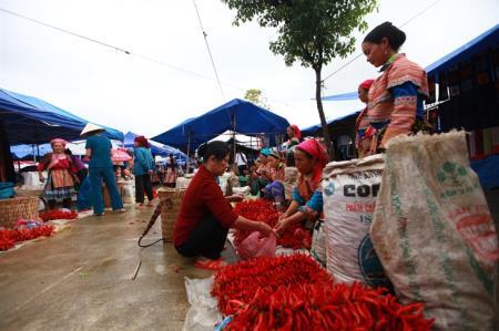 Người dân khu vực biên giới, biển đảo gồng mình trong  cơn bão giá
