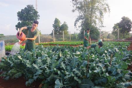 BĐBP Đắk Nông nâng cao chất lượng, hiệu quả công tác hậu cần
