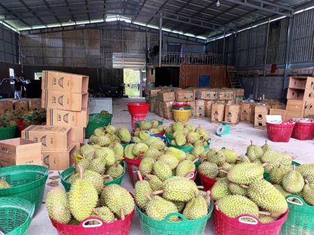 Cách làm giàu ở huyện nghèo nhất nước (bài 3)