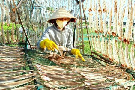 Sa Huỳnh mùa phơi cá