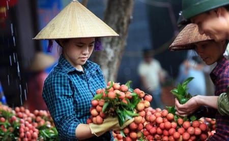 Nguy cơ mất thương hiệu nông sản