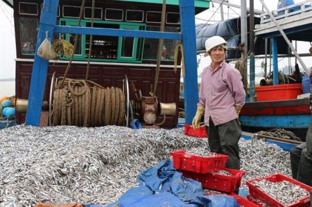 Bảo vệ nguồn lợi biển để đảm bảo sinh kế bền vững