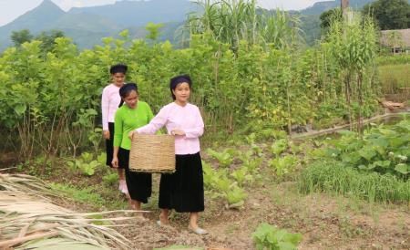 Khai thác du lịch cộng đồng tại Lào Cai: Khi di sản trở thành tài sản