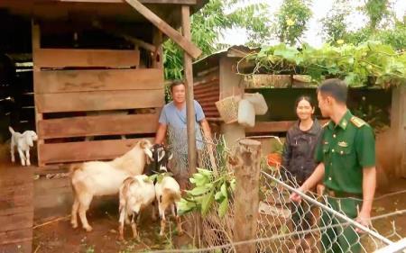 Hỗ trợ sinh kế giúp người dân biên giới thoát nghèo