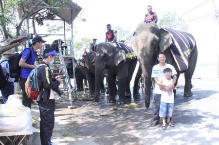 Du lịch thân thiện với voi - Hướng đi nhân văn