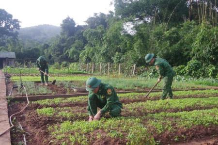 Đẩy mạnh tăng gia sản xuất ở Đồn Biên phòng Cồn Roàng