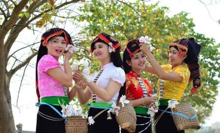 Hoa ban, loài hoa có nhiều ý nghĩa với đồng bào dân tộc Thái ở Điện Biên