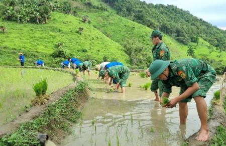 Xung kích giúp dân xóa đói giảm nghèo ở vùng biên giới xứ Nghệ