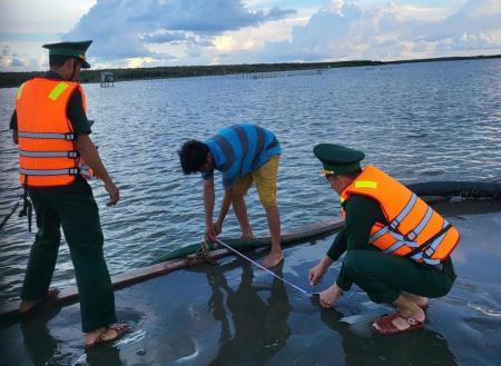 Bắt giữ phương tiện vận chuyển cát trái phép