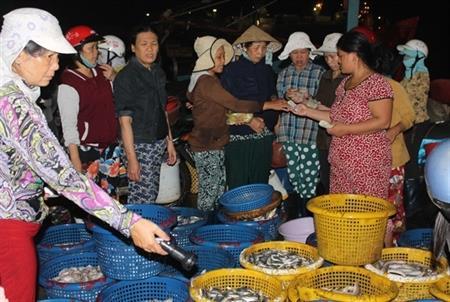 Những cánh cò đêm