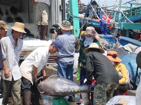 Hoàn tất công tác chuẩn bị cho Festival thủy sản 2014