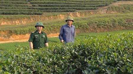 Khởi sắc trên quê hương mới