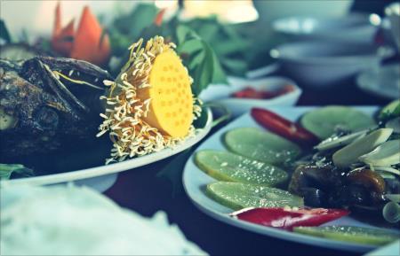 Sen hồng trên đất Phương Nam