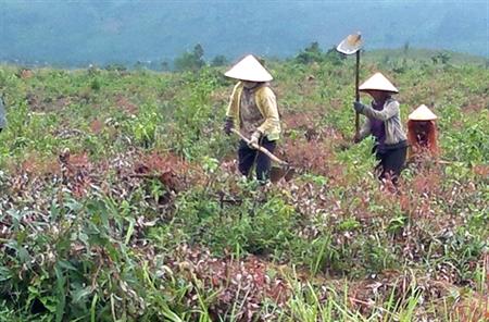 Niềm vui đất mới