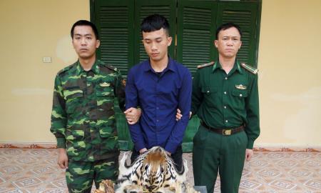 Quảng Ninh: Bắt đối tượng vận chuyển trái phép da và xương hổ
