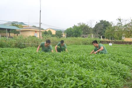 Thi đua “Hướng về đơn vị và người làm việc trực tiếp”