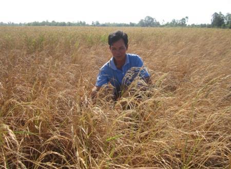 Giải pháp trước mắt về phòng chống hạn hán, xâm nhập mặn