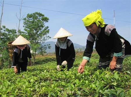 Đảng viên đi trước, dân vững bước theo sau