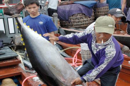 Xử lý “mạnh tay” với tình trạng hủy hoại nguồn lợi thủy sản