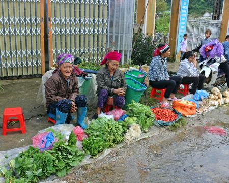 Cần chính sách tổng thể hay đặc thù?
