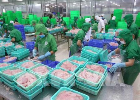 Ngành thủy sản có nhiều kịch bản ứng phó với dịch do virus COVID-19